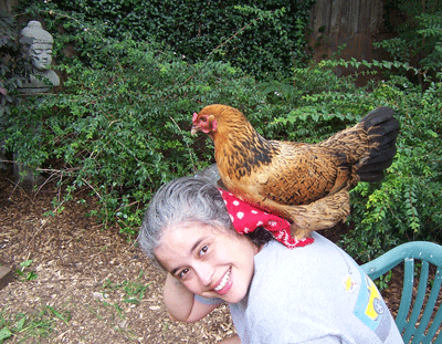 Chicken on Lara