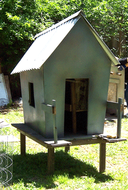 Chicken Coop