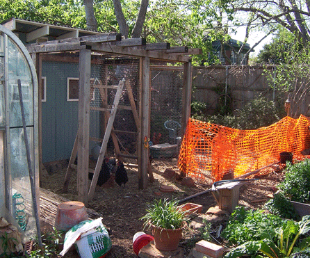 coop fence